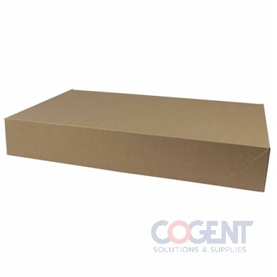 Apparel Box 619 Rec Kraft Pin 19x12x3 2pc 50/cs